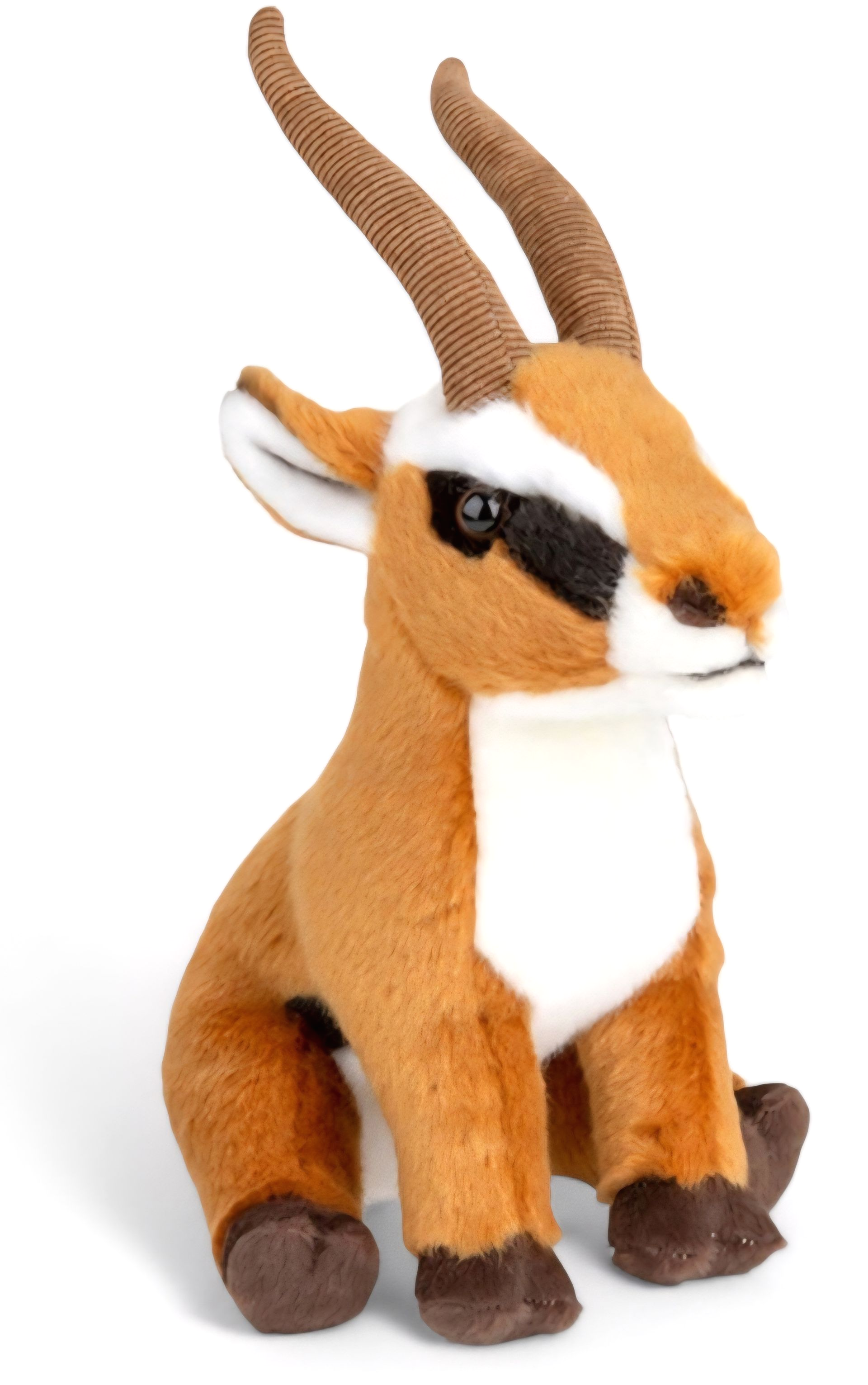 Antelope