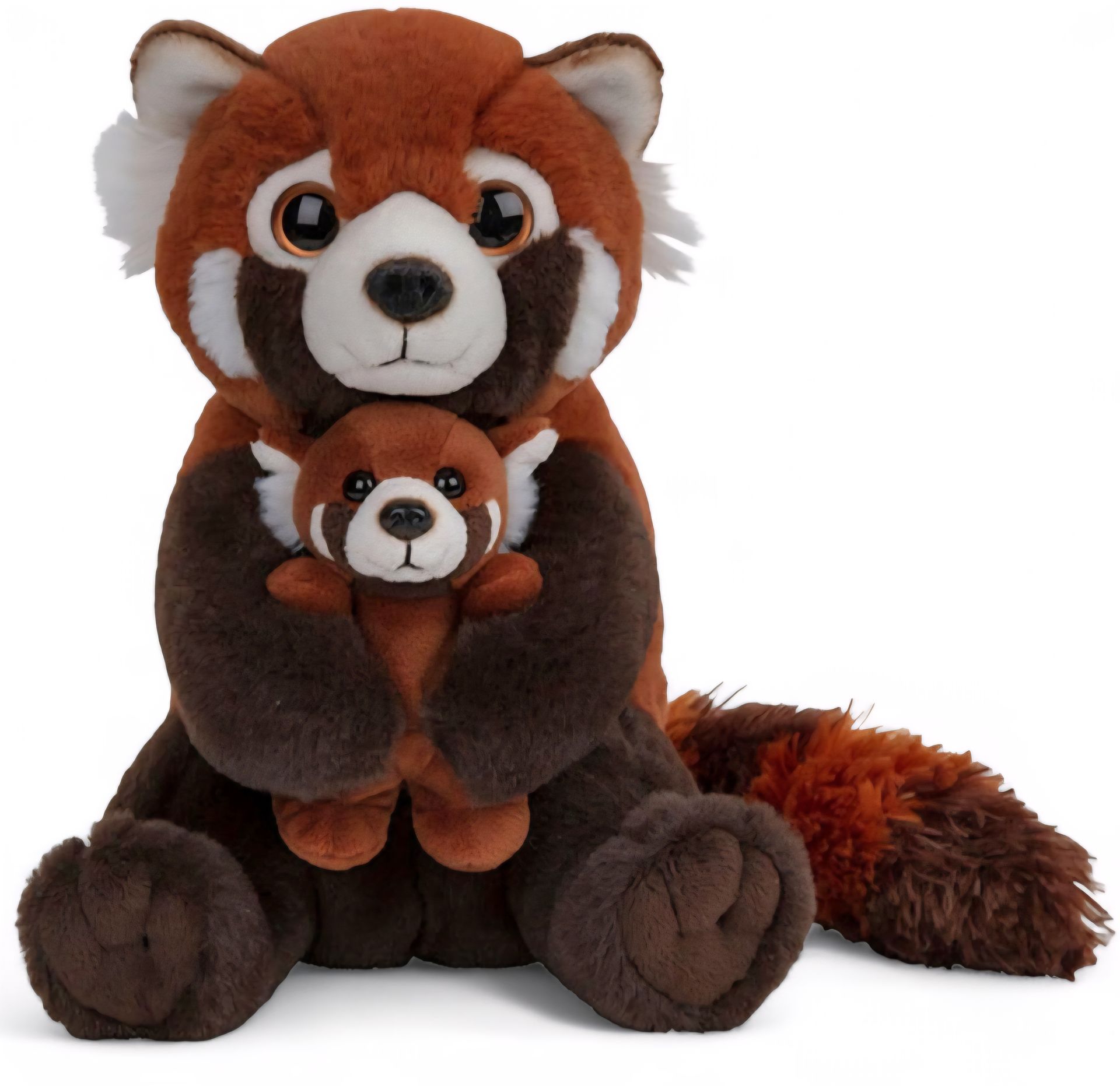 Red Panda Cub
