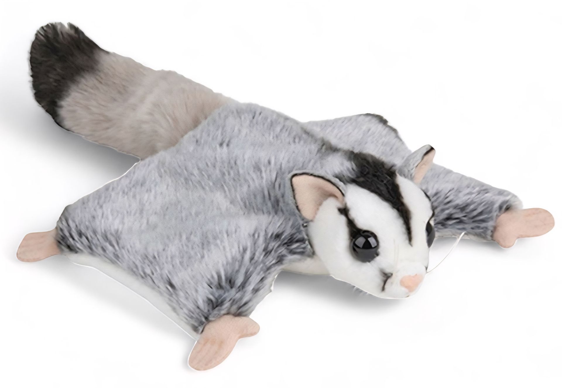 Flying Squirrel