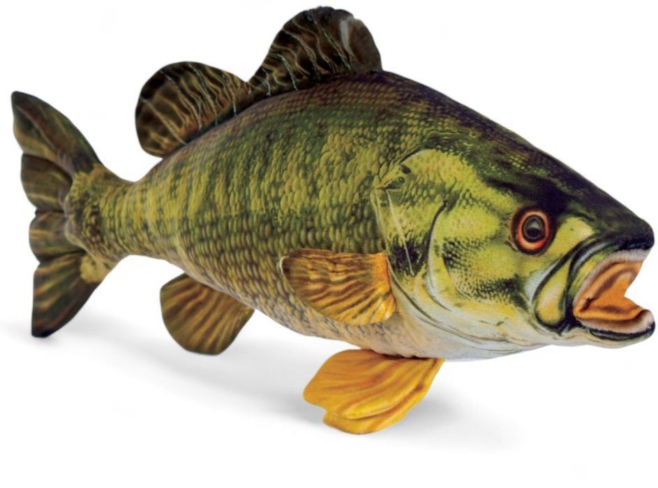 Small Mouth Bass