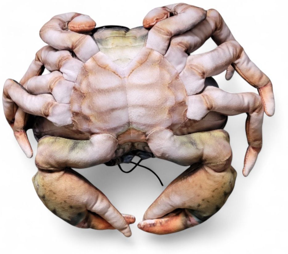 Blue Crab