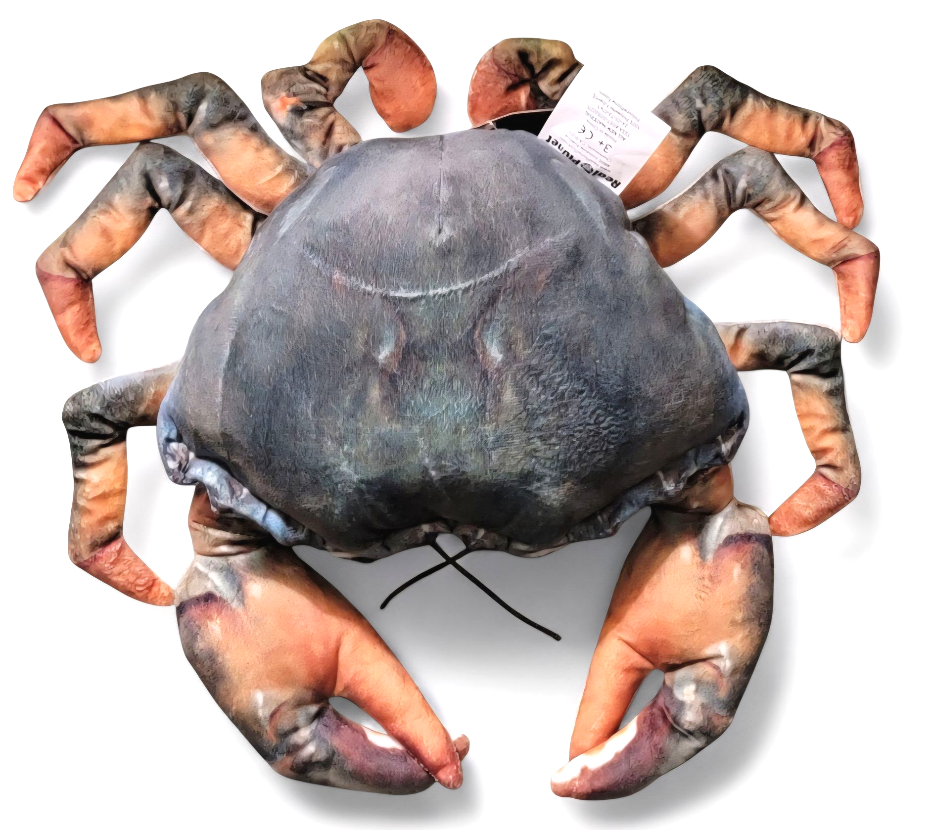 Blue Crab