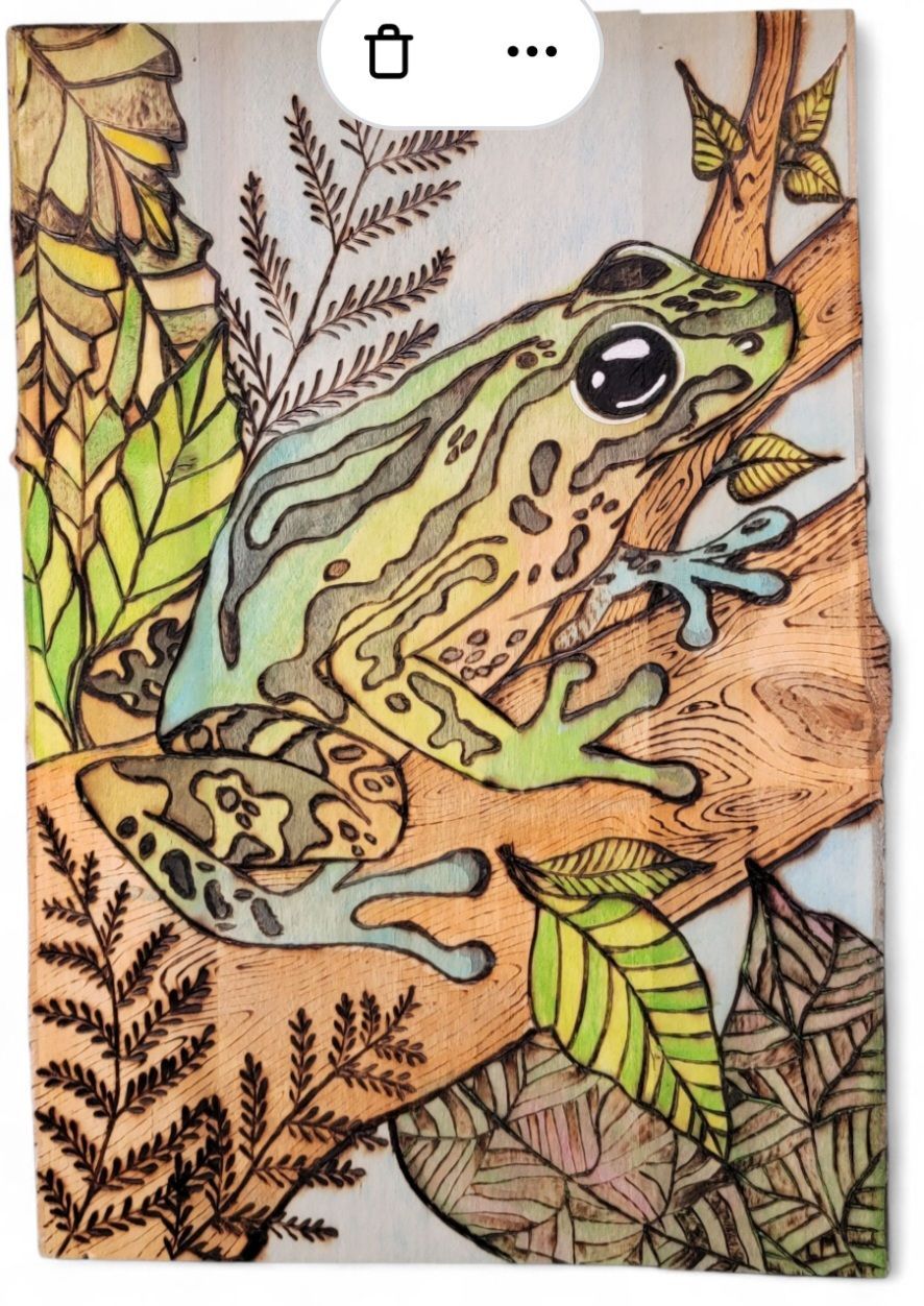 Dart Frog Plaque
