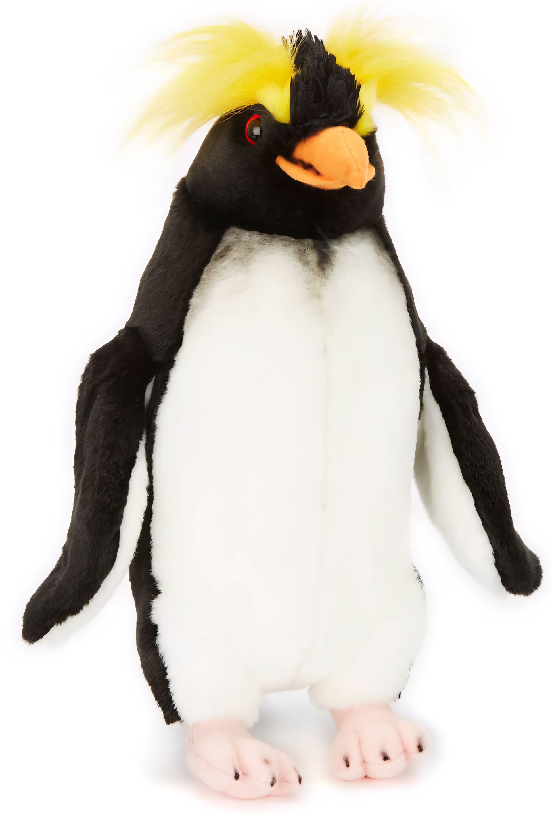 Crested Penguin