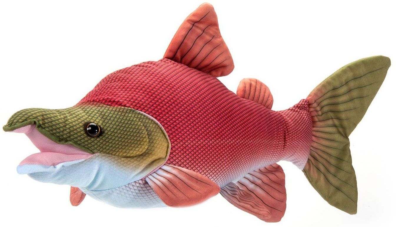 salmon plush toy, sockeye salmon plush, salmon plushie