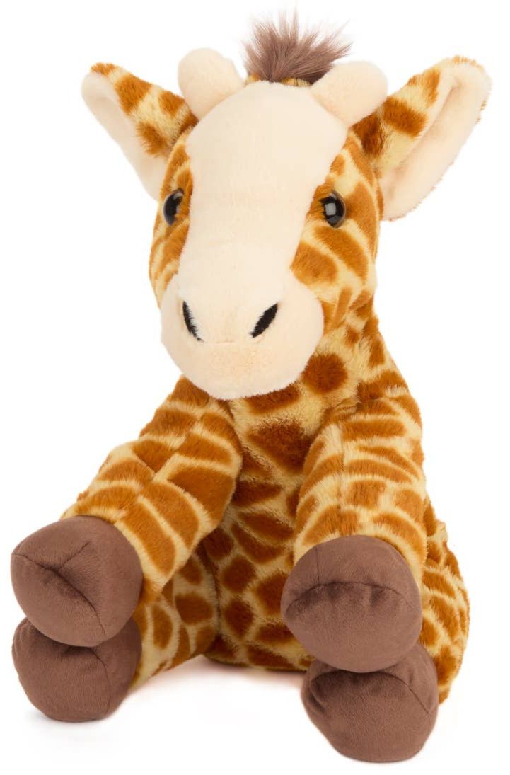 WT Giraffe