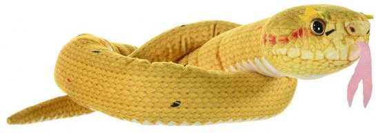 Eyelash Viper