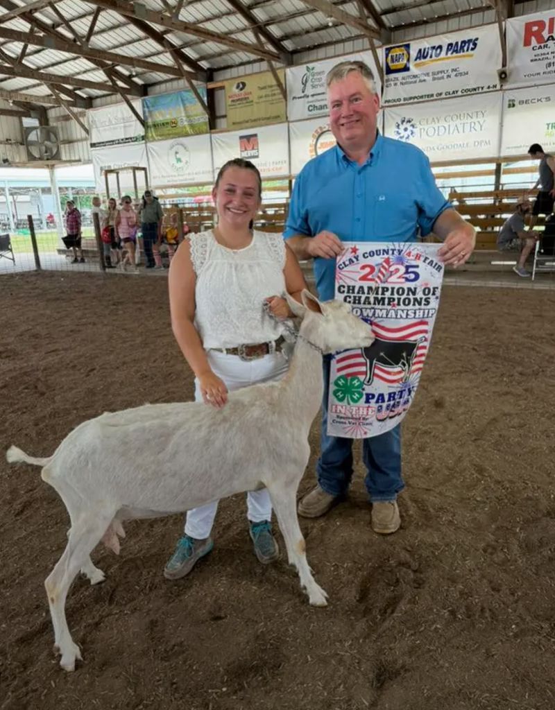 Round Robin Showmanship