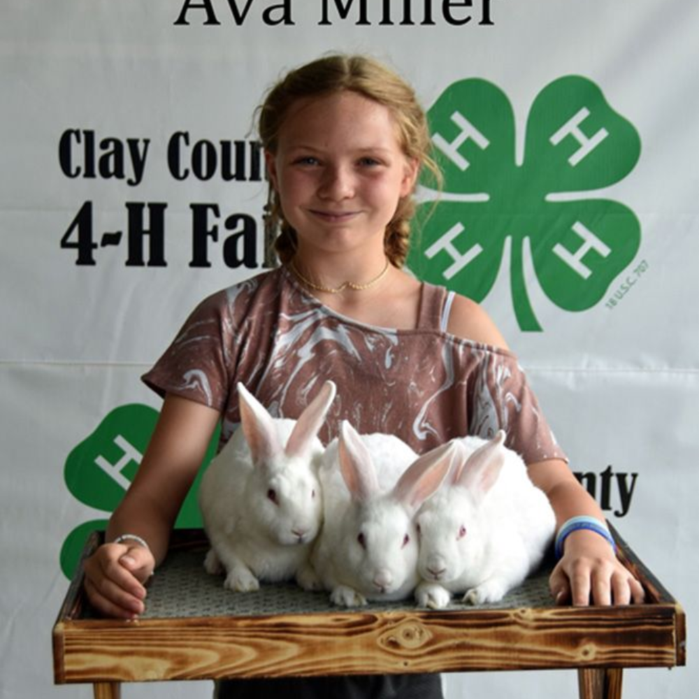 Girl with rabbits on a wooden table at a 4-H fair display booth