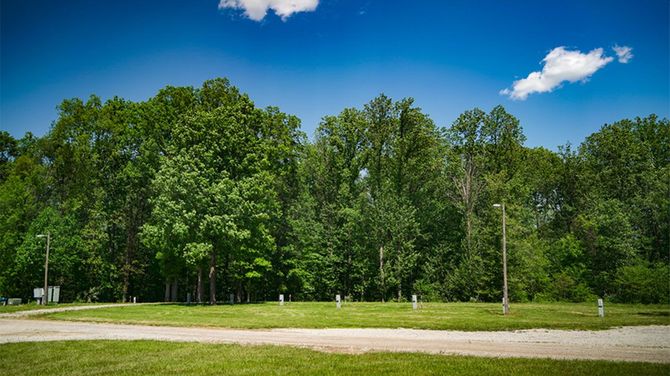 Tree-lined grassy field under a bright blue sky with scattered clouds