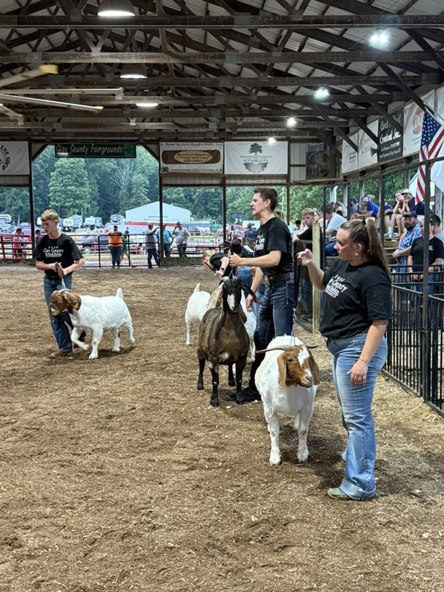 Clay County 4-H Fair