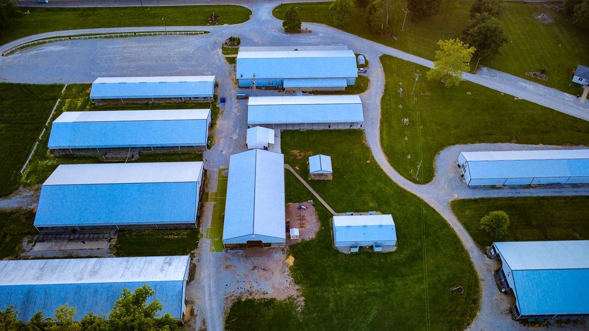Aerial view of blue-roofed farm buildings and sheds along a curved driveway surrounded by green fields.