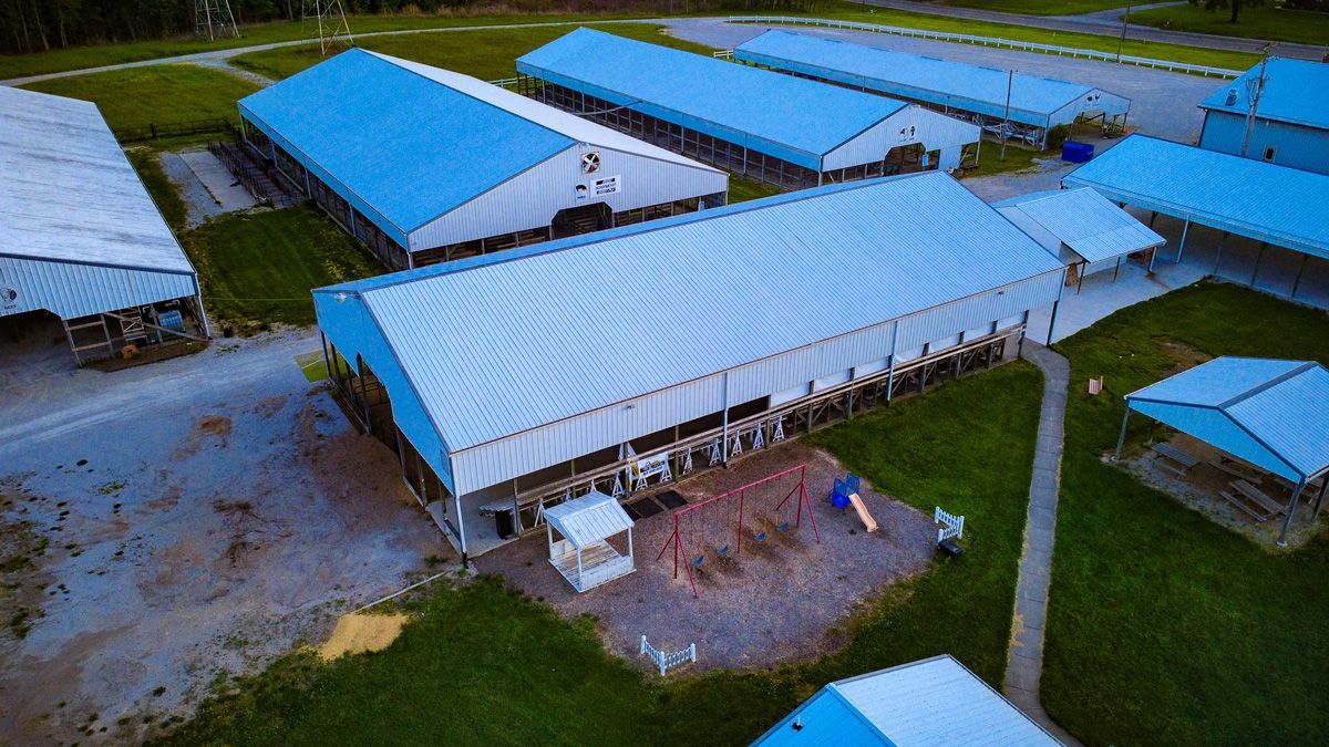 Aerial view of blue-roofed farm buildings and sheds in a rural compound.