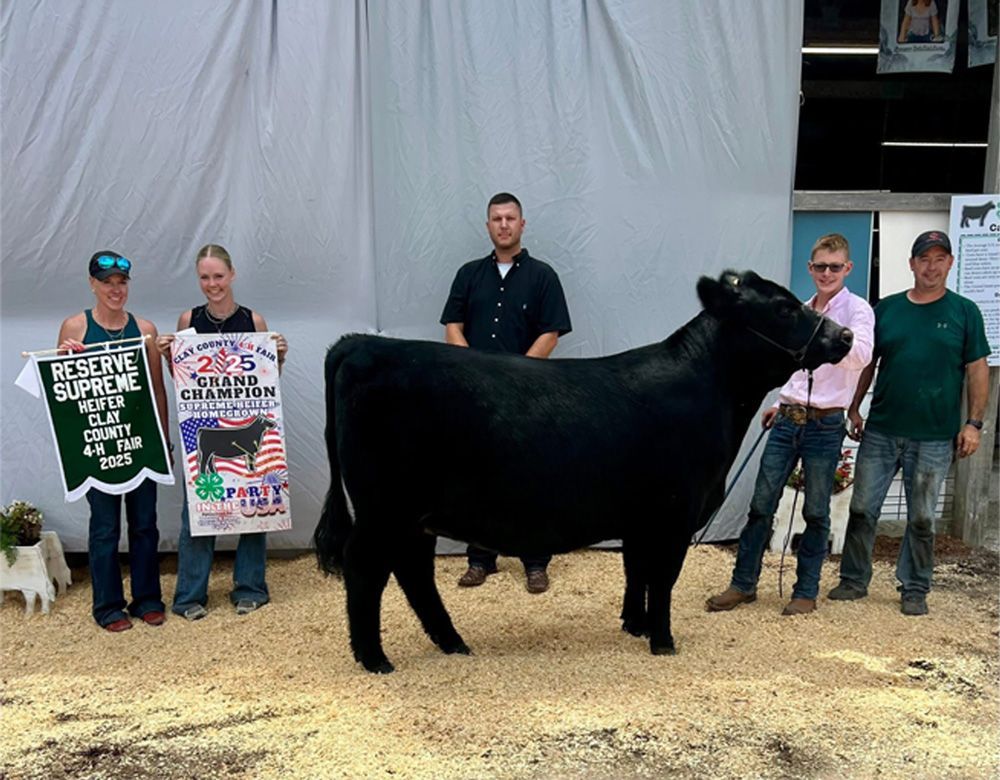 People standing beside a black show bull at a livestock event, with prize posters in the background