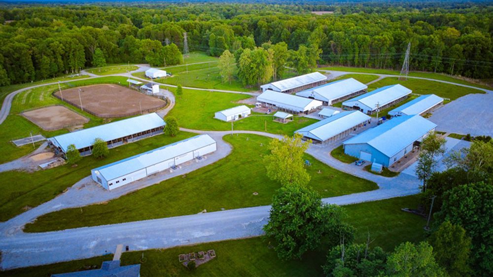 Aerial view of a rural farm complex with white barns, paved paths, and surrounding green fields and forest.