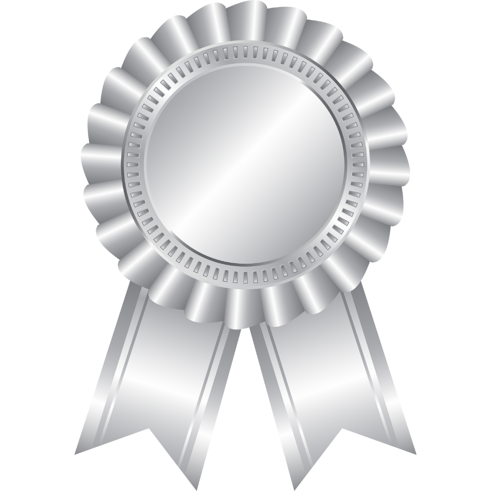 Silver award ribbon with blank center and two hanging tails
