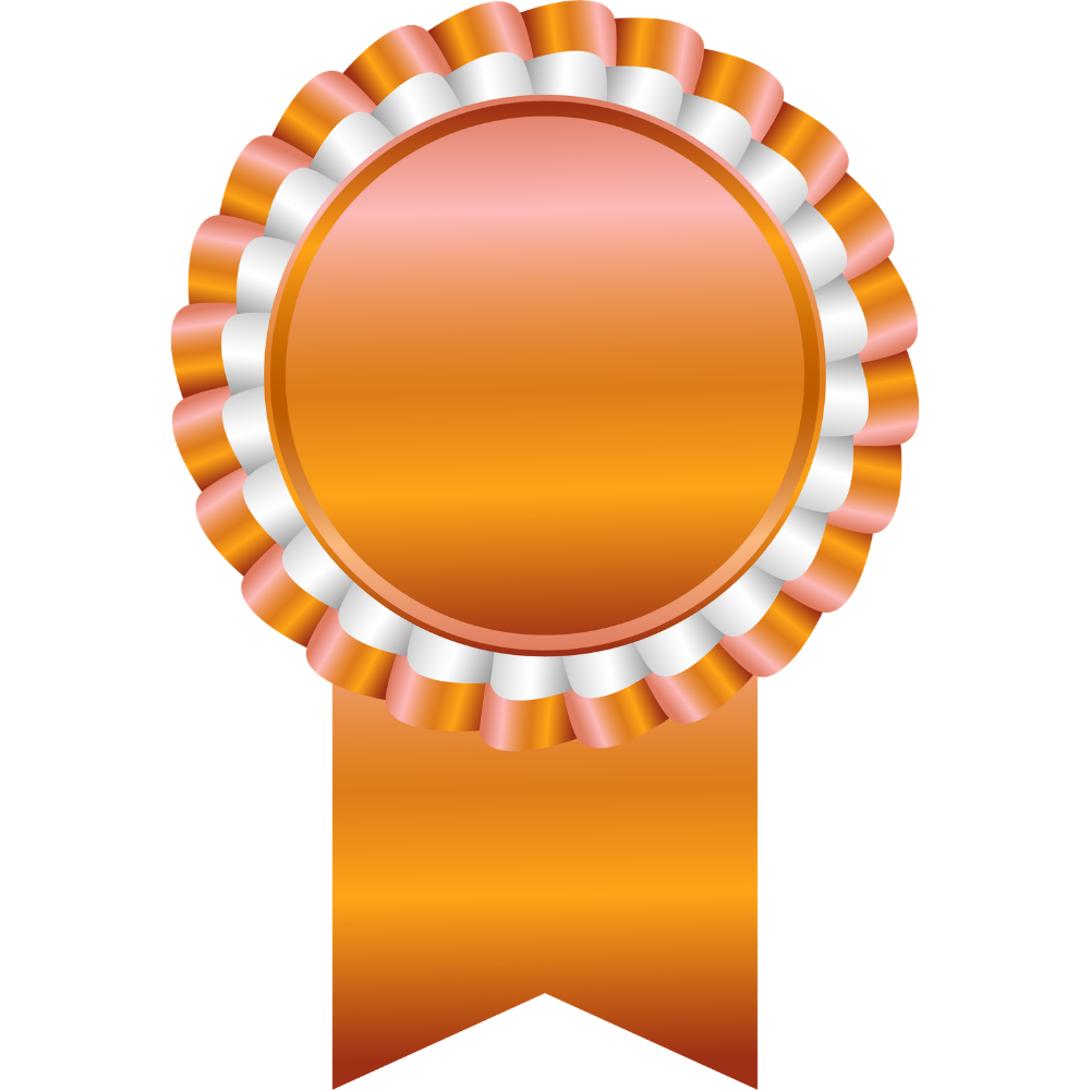 Orange award ribbon with a round rosette and two ribbon tails