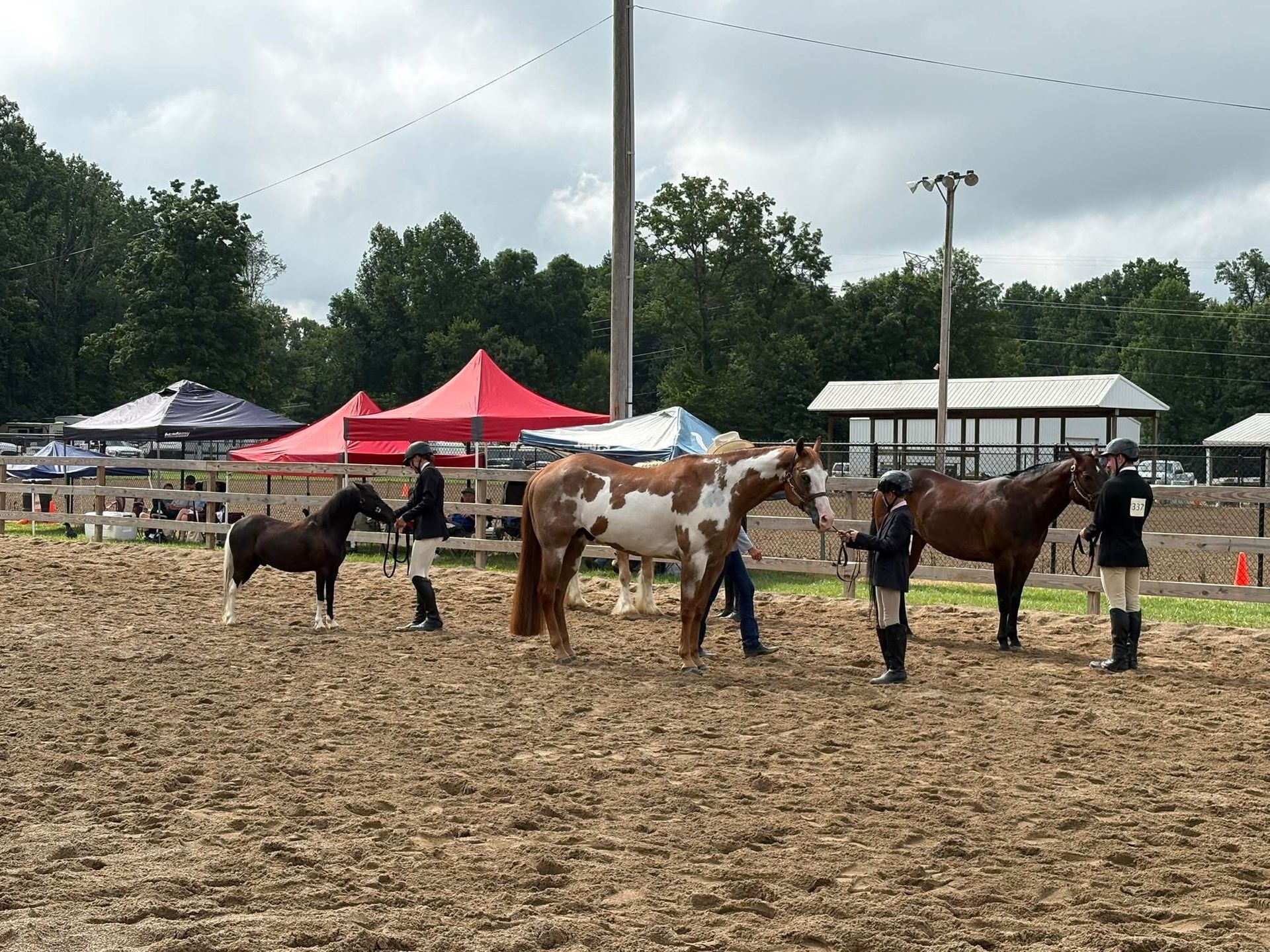 Horses lined up with handlers in a muddy outdoor arena at a horse show, with tents and trees in the background