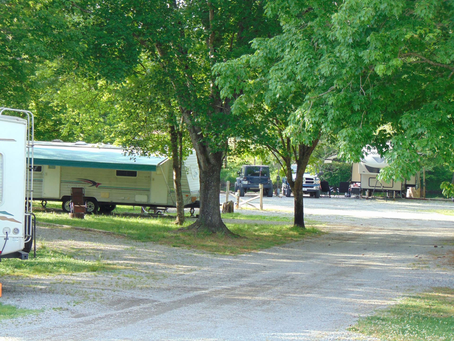 A group of rvs are parked in a parking lot surrounded by trees