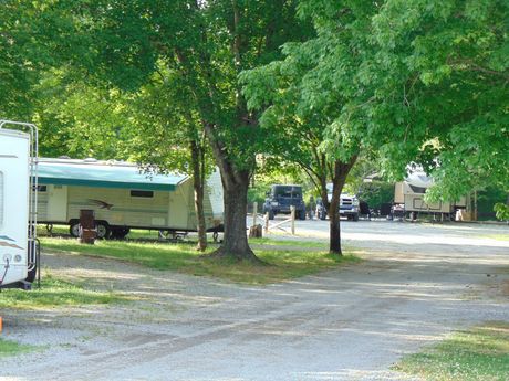 A group of rvs are parked in a parking lot surrounded by trees