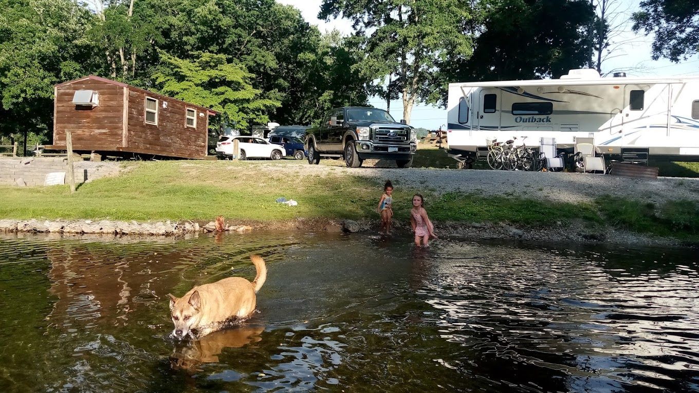 A dog and a child are playing in a pond.