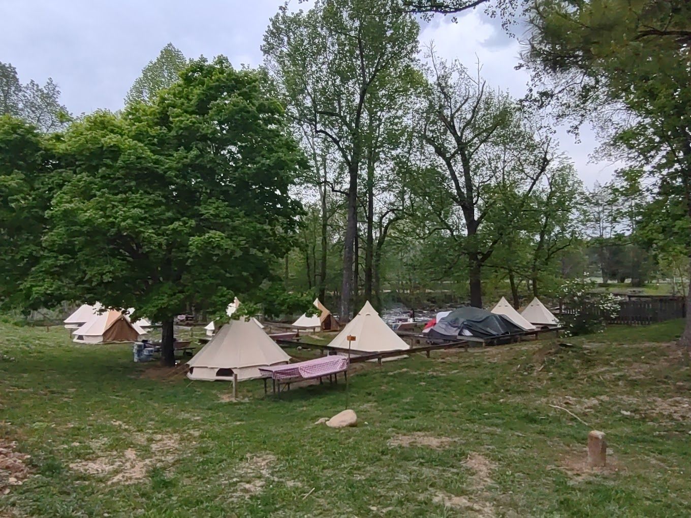 A group of tents are sitting in a grassy field surrounded by trees.