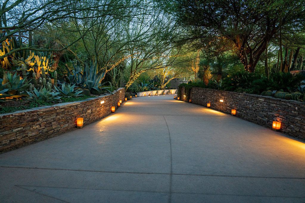 A trail is lit up at night with lights on the side of it.