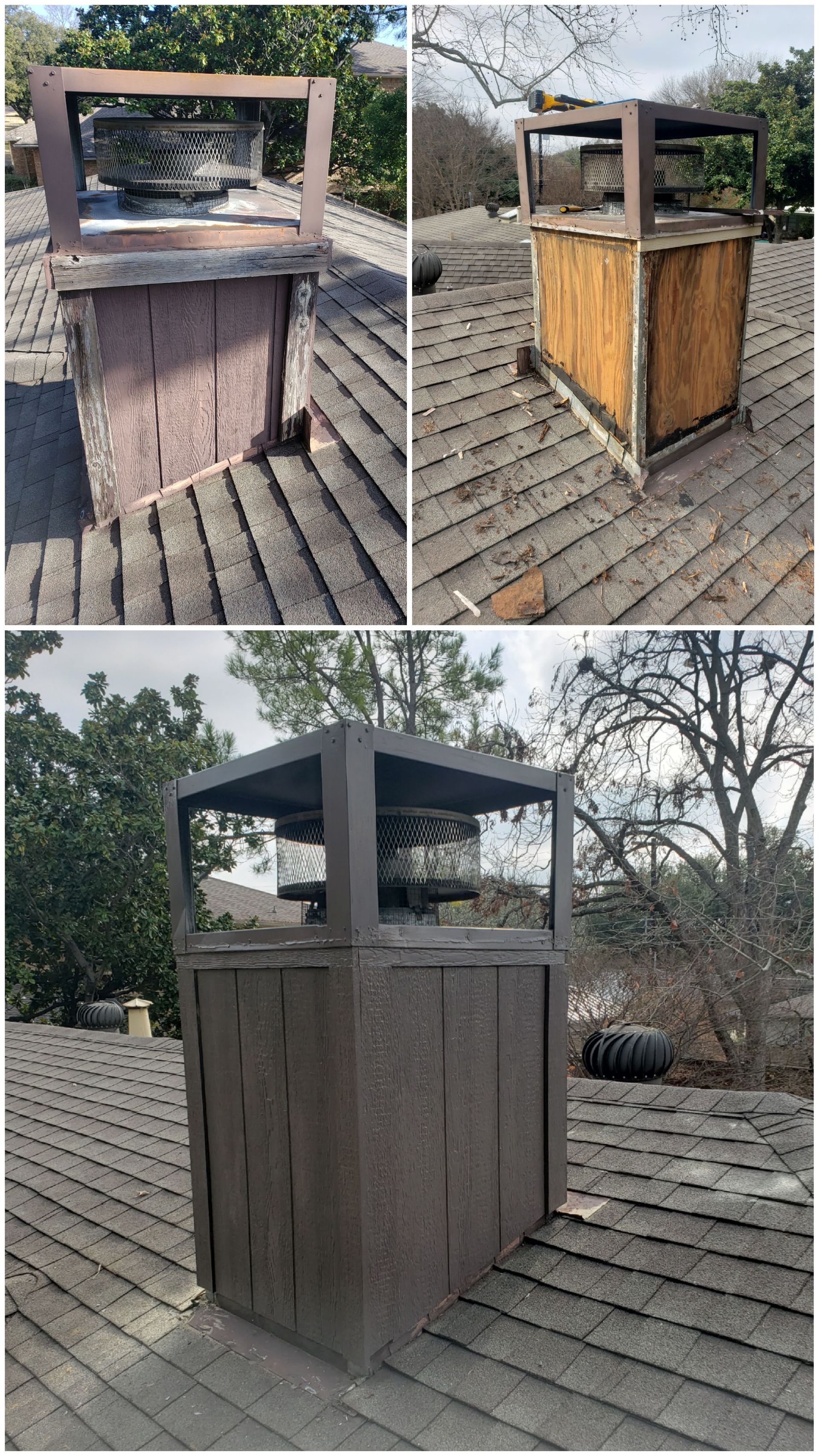 roof rat removal service texas