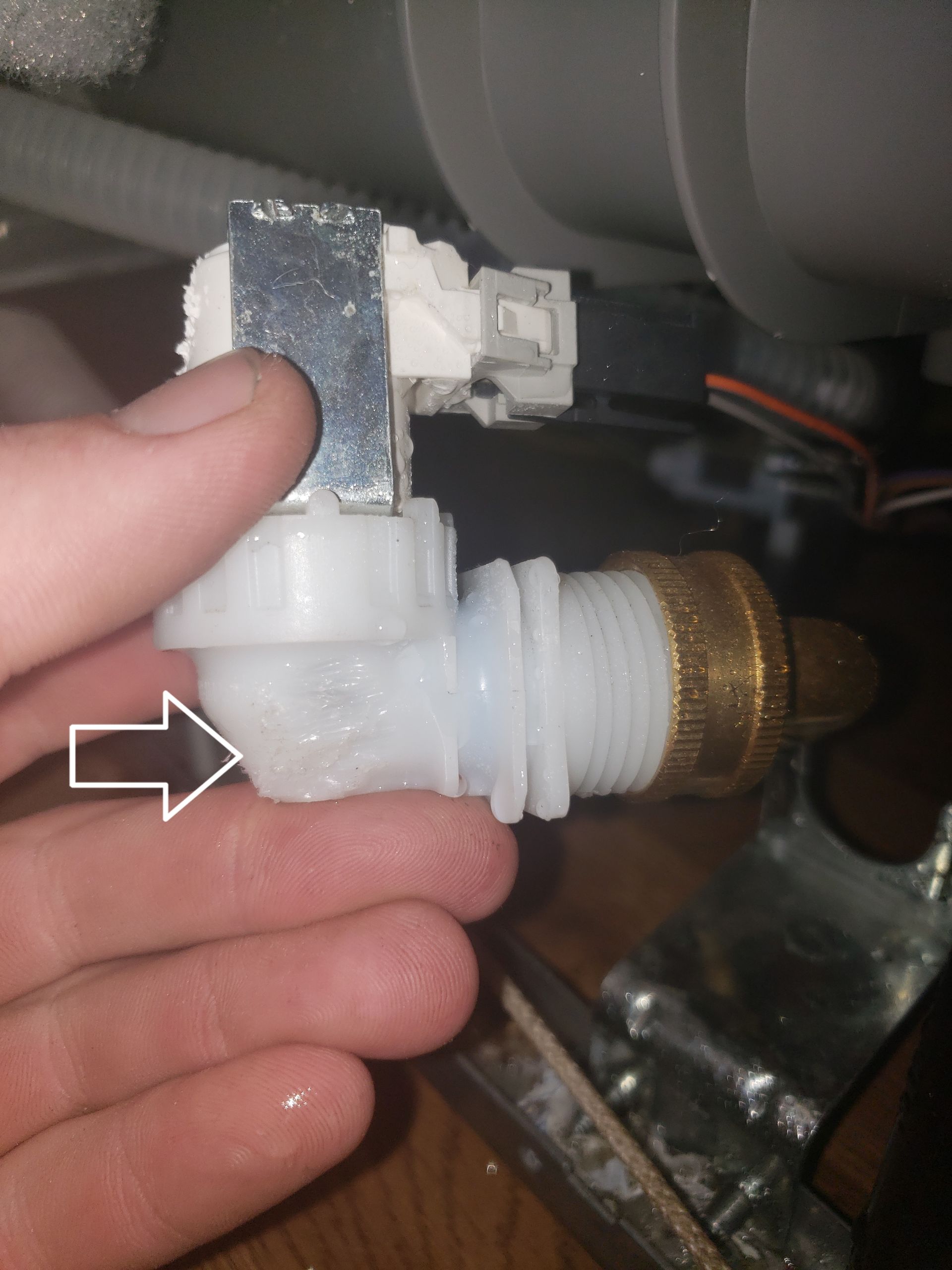 mice removal