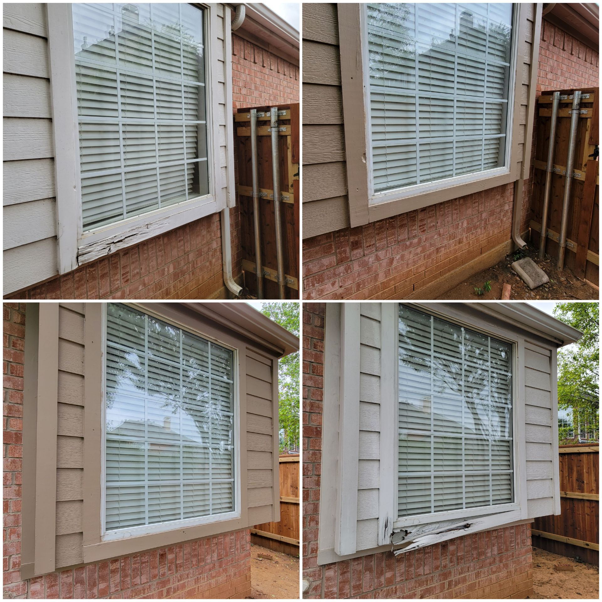 rodent control dallas
