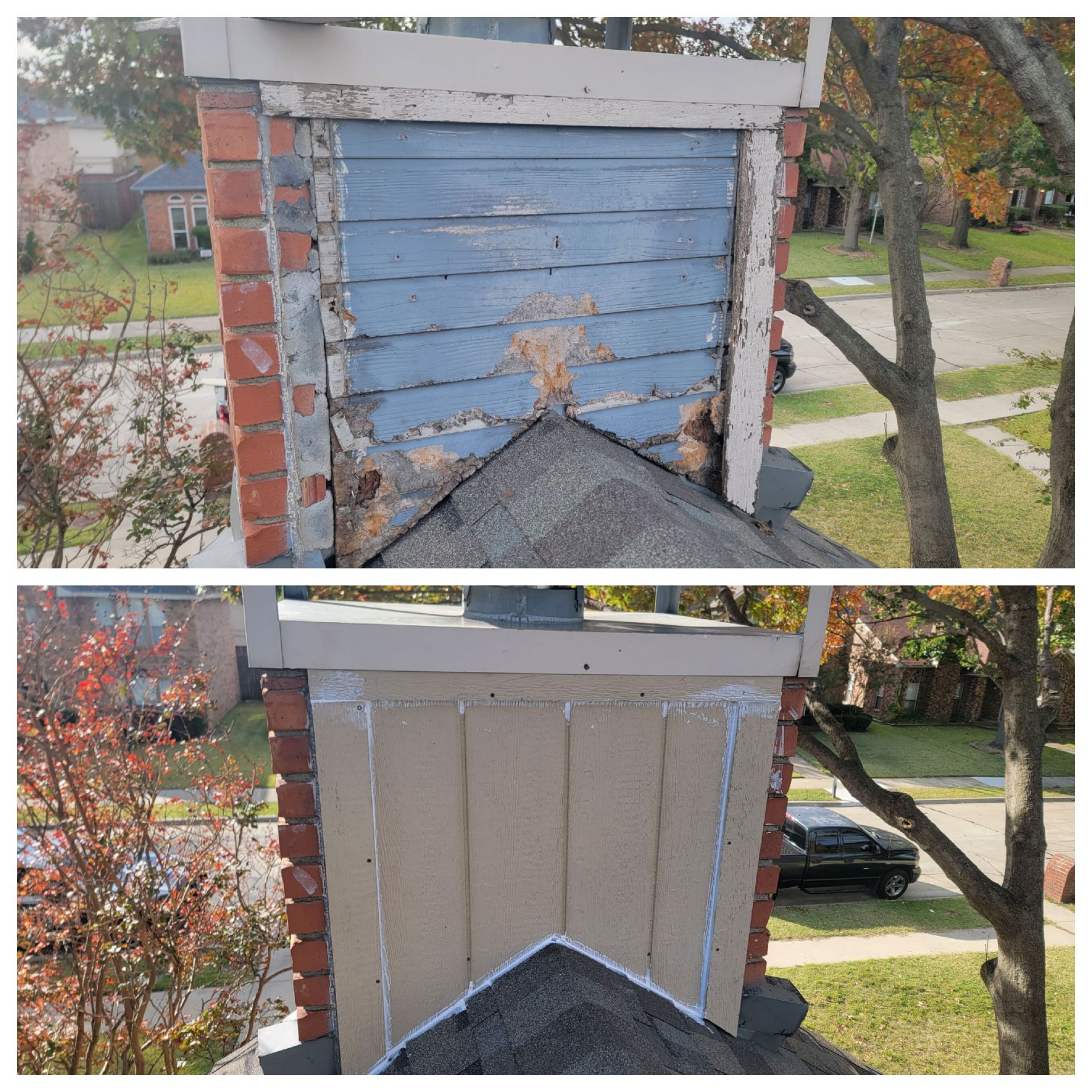 raccoon removal texas