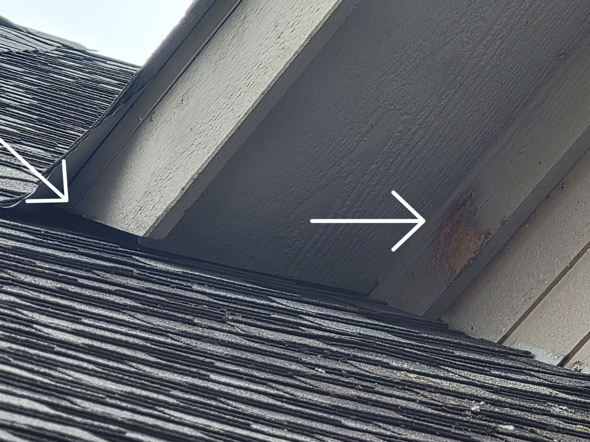 exterminators fort worth