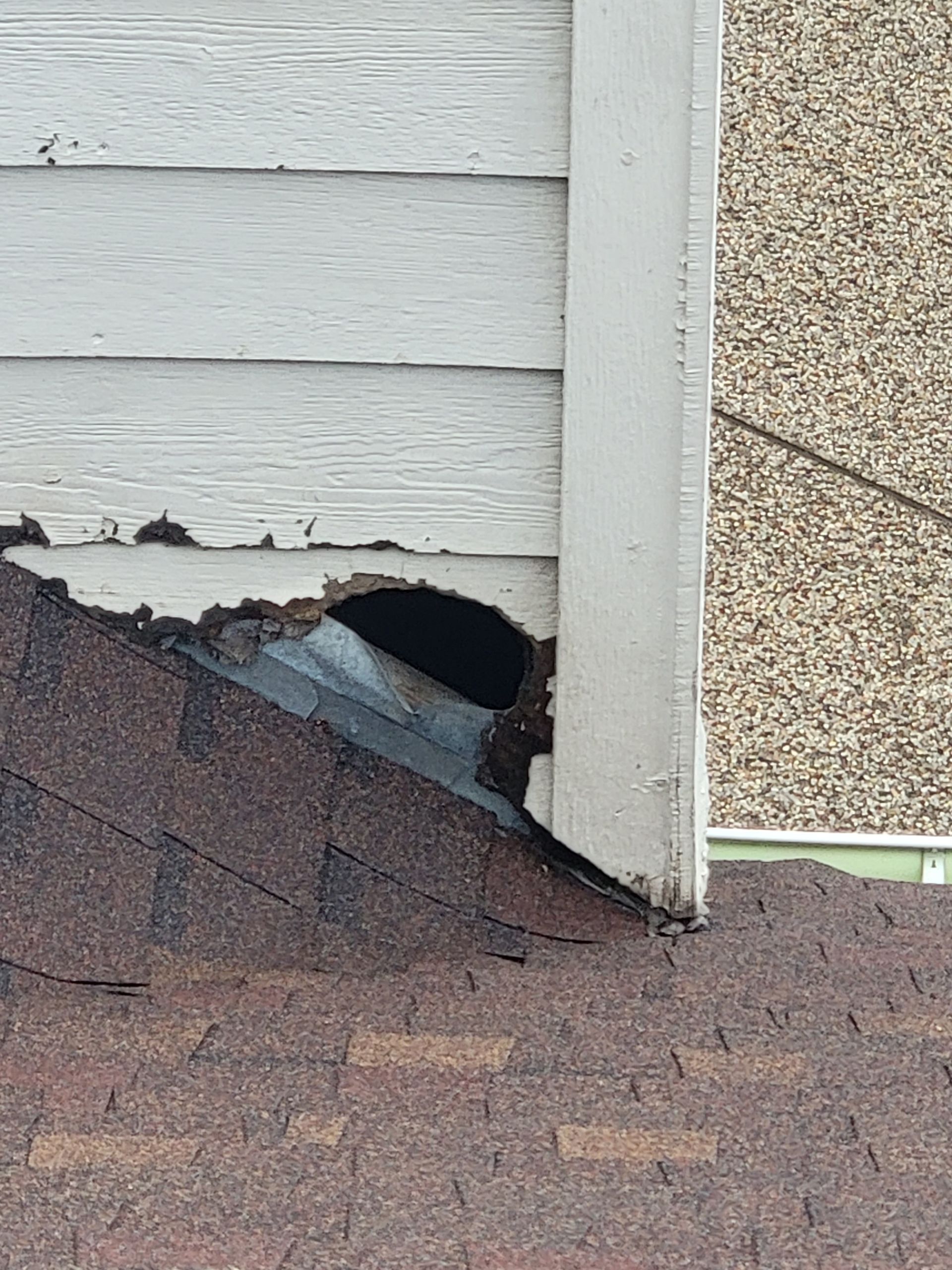 pest control flower mound