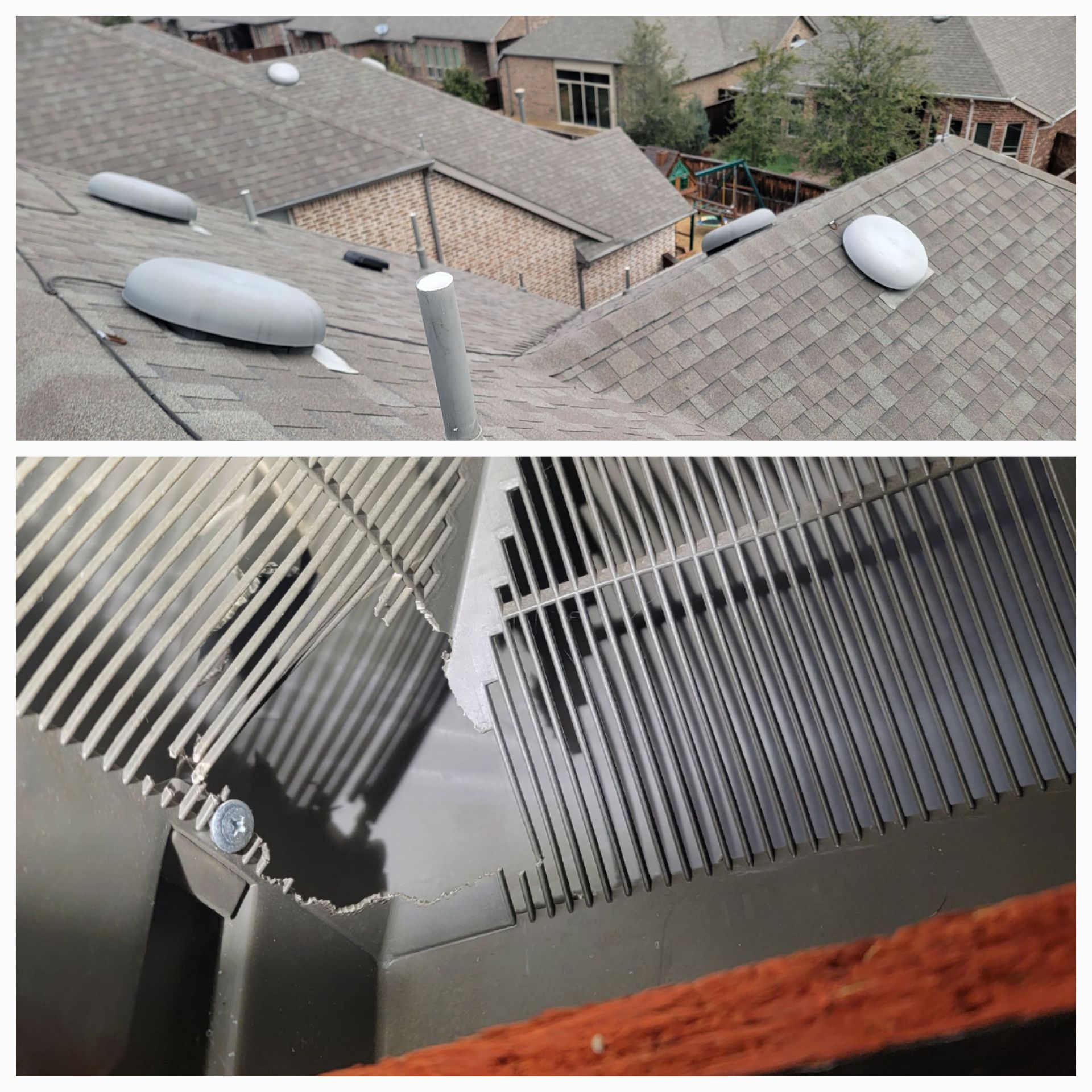 pest control grapevine tx