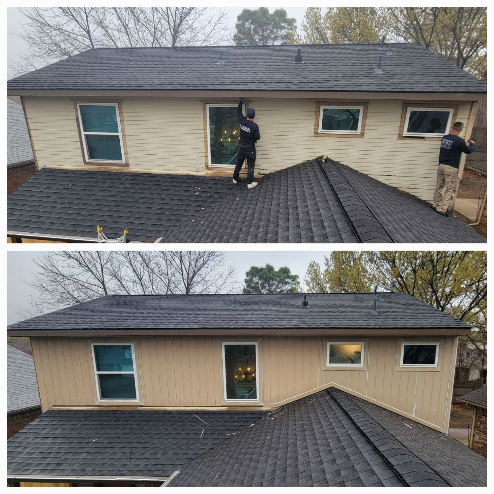 roof rat removal service texas
