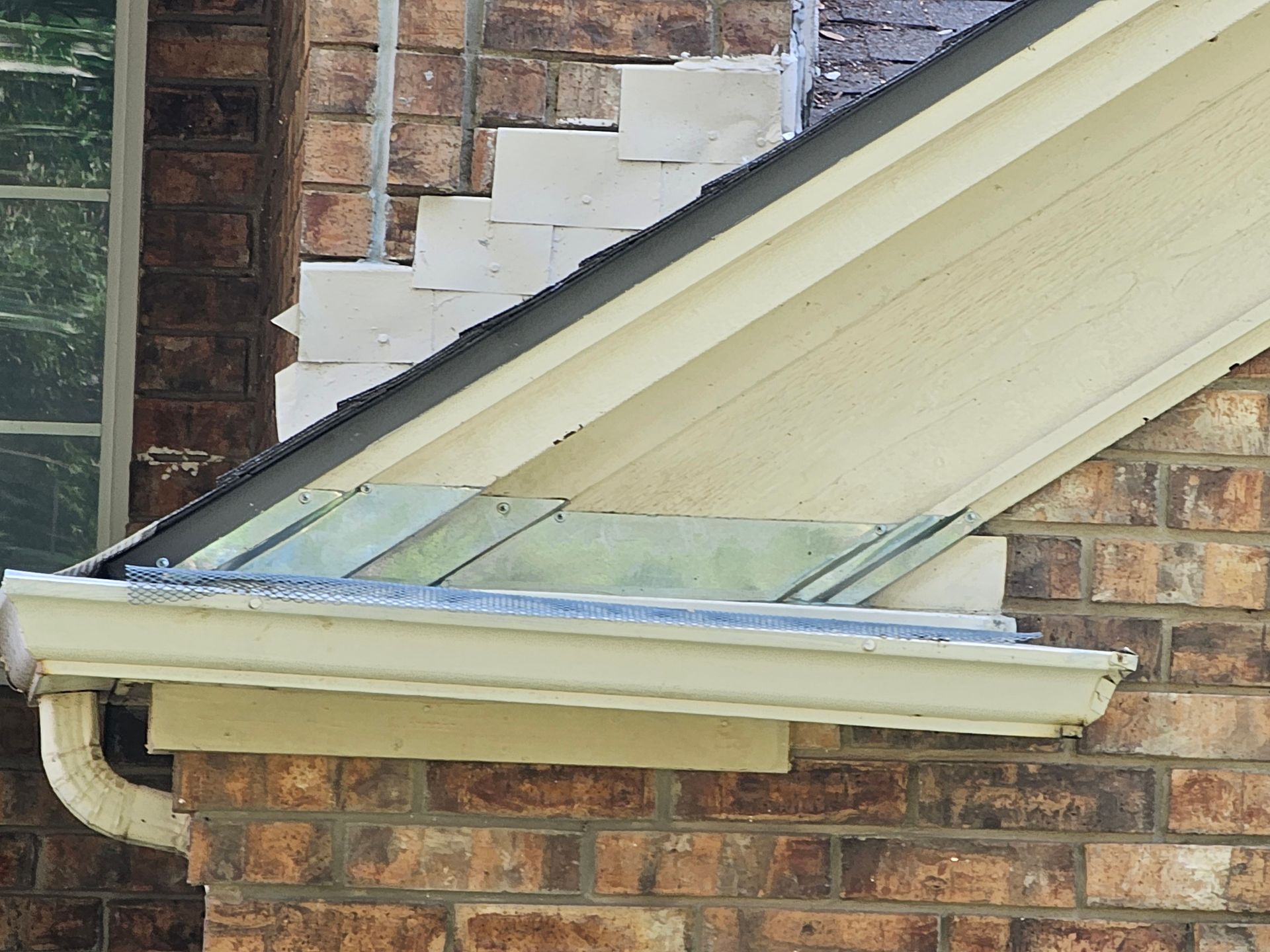 mouse removal frisco