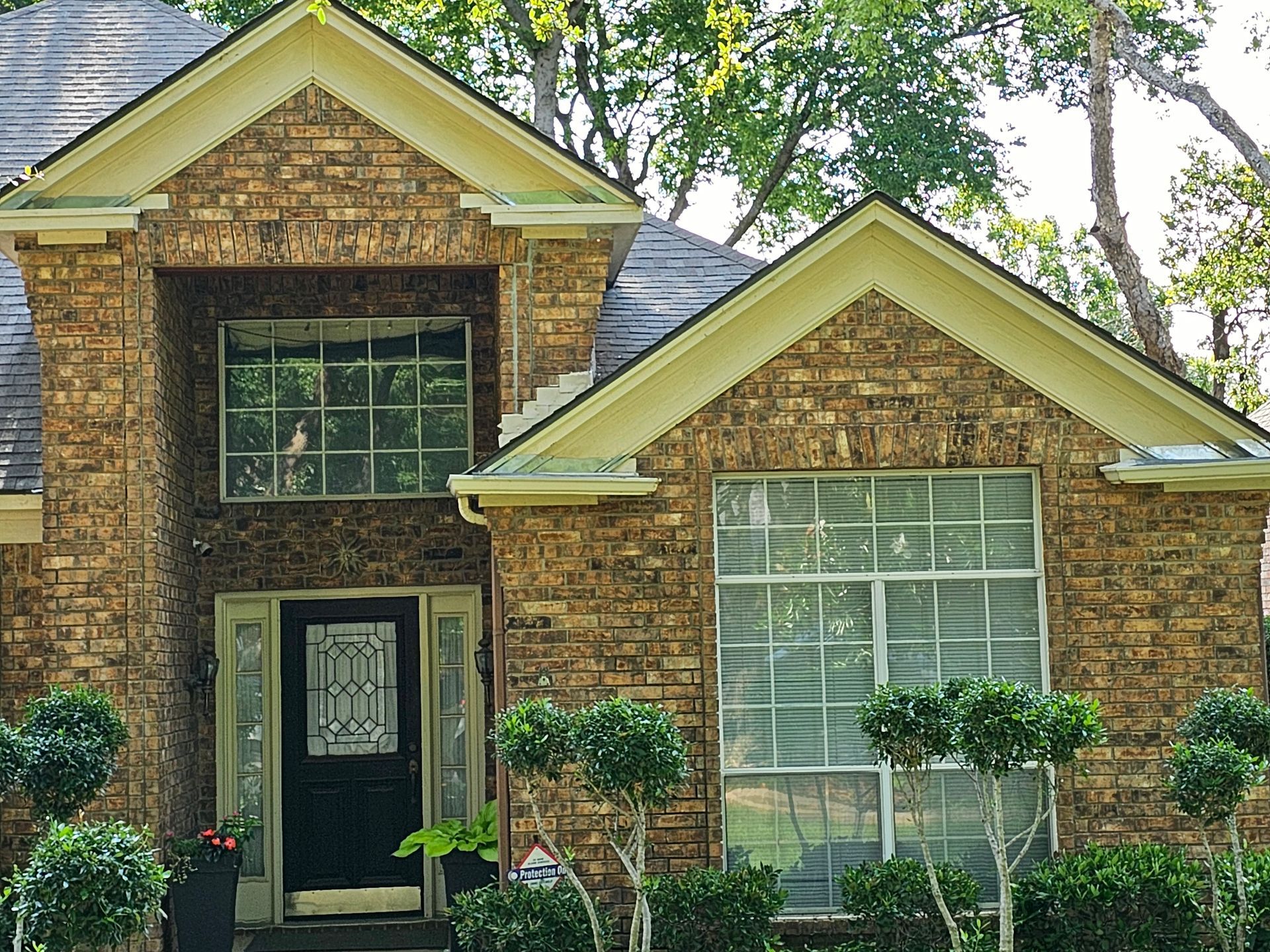 exterminator arlington tx