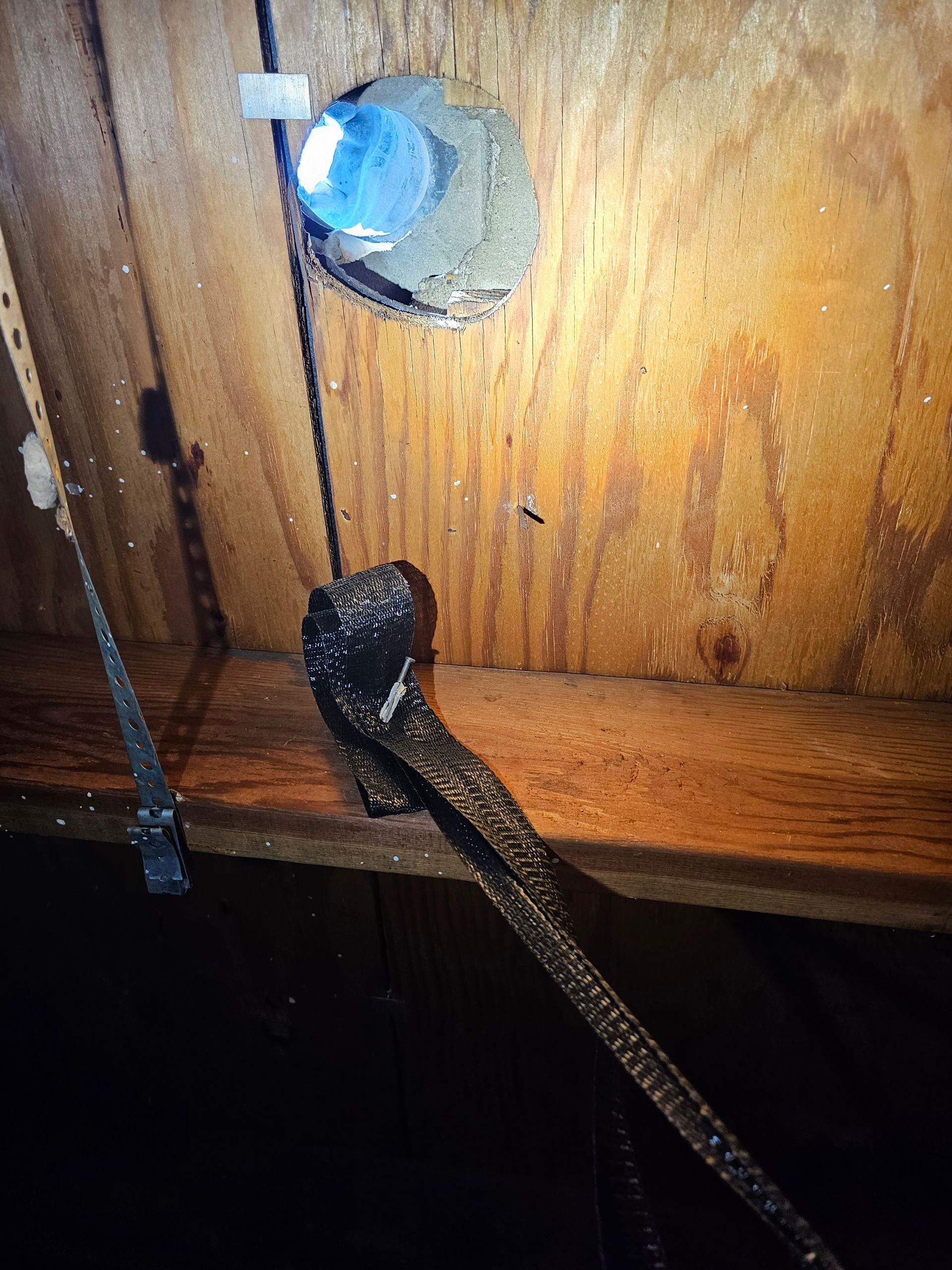 mouse removal mckinney