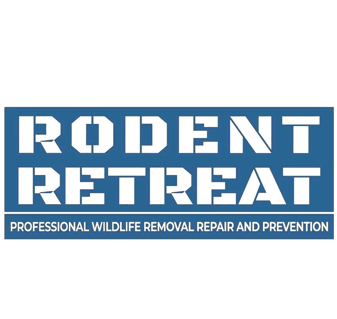 rodent control fort worth
