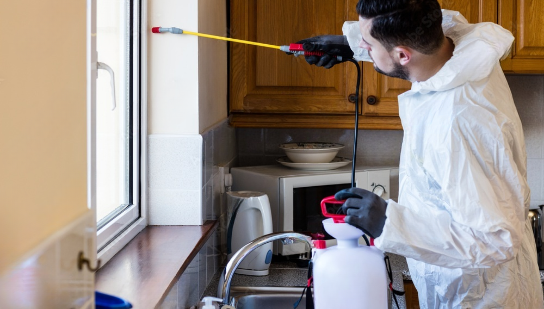 pest control flower mound