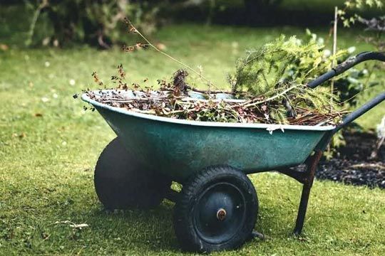Green wheelbarrow filled with yard waste on a grassy lawn.