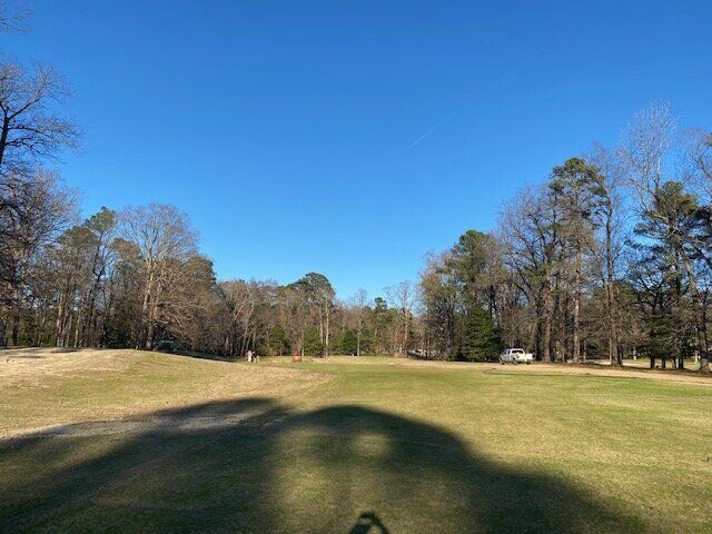 Open grassy park with leafless trees under a clear blue sky, with long shadows in the foreground