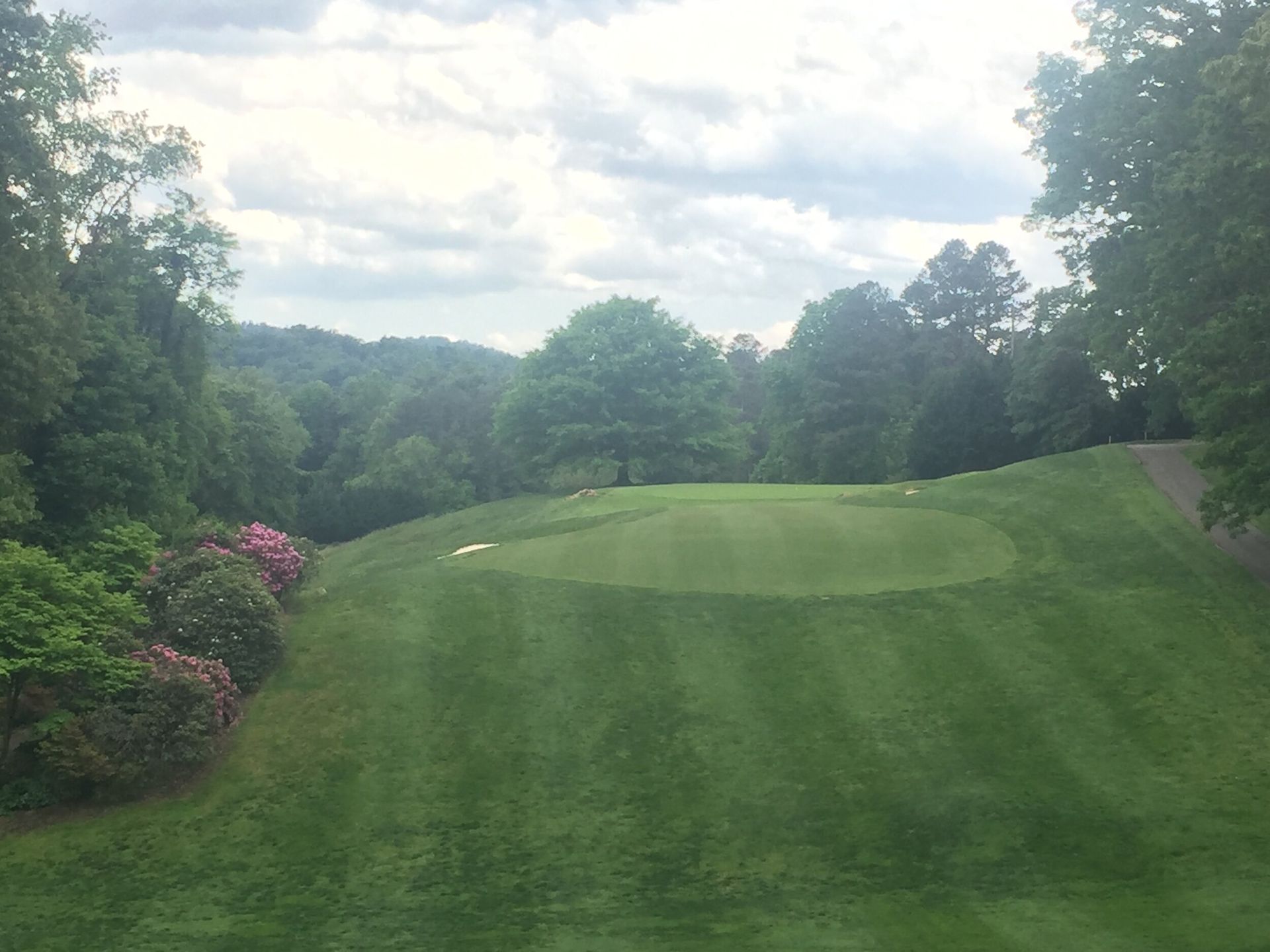 Lush green golf fairway curving through trees under a cloudy sky
