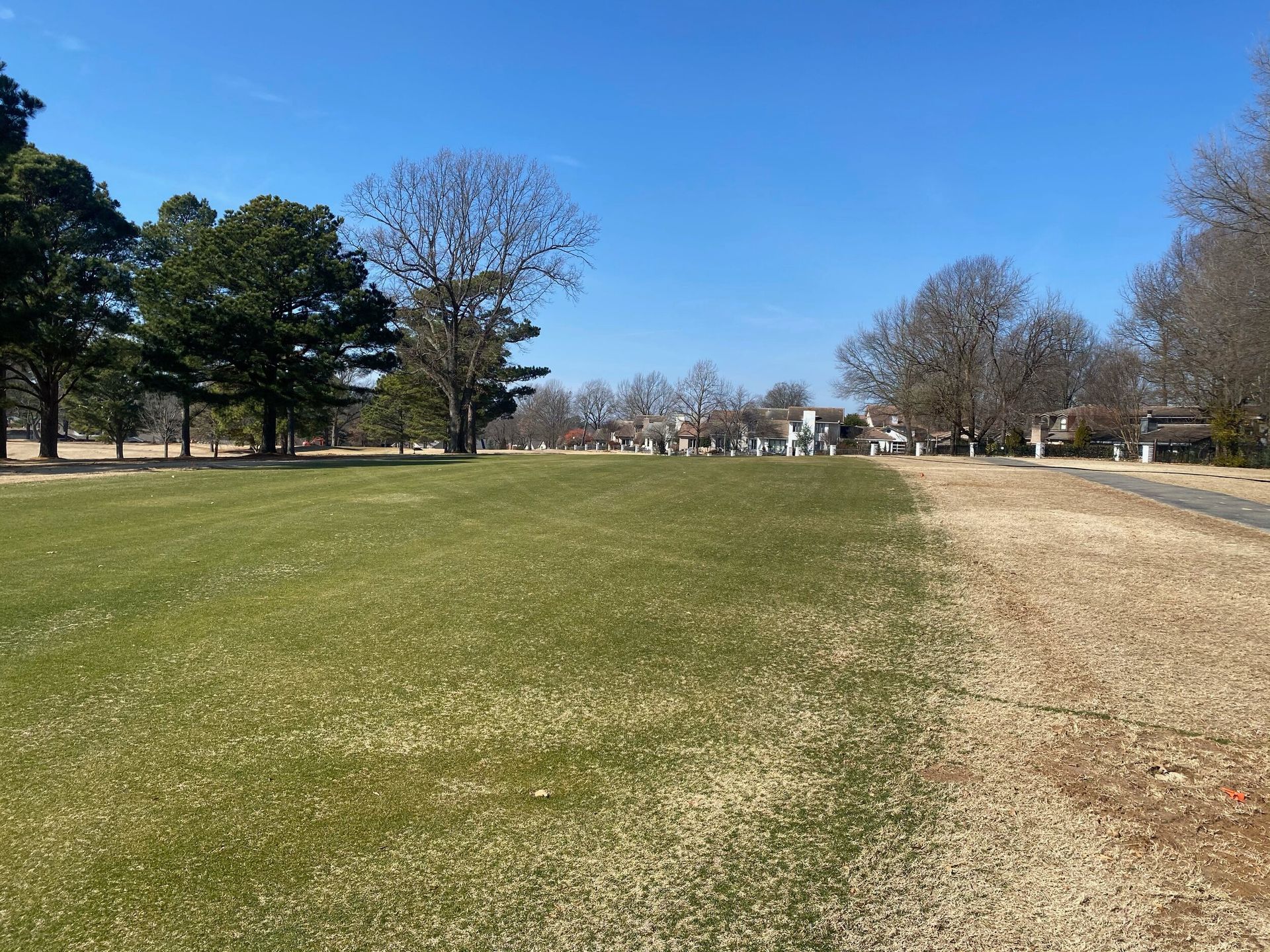 Wide grassy park under a clear blue sky, with trees lining the edge and a paved path on the right.