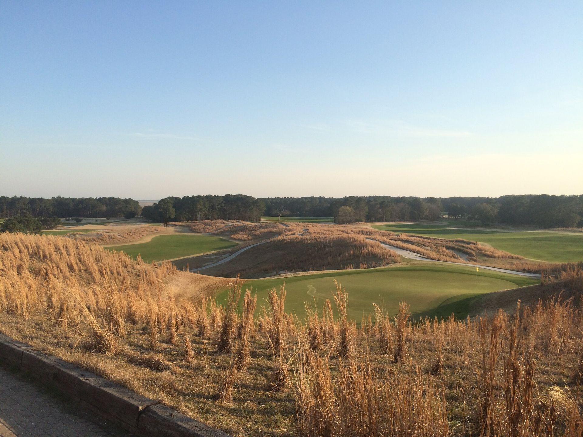 Grassy hill with dirt mounds under a blue sky, viewed from a field with dry grasses in the foreground