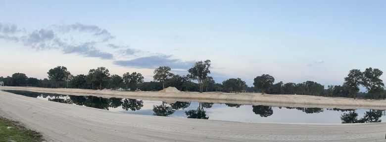 Flooded field with trees reflected in still water under a cloudy sky