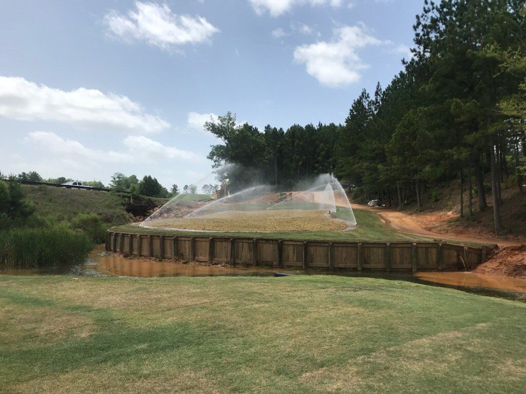Sprinklers watering a grassy slope beside a pine forest on a sunny day