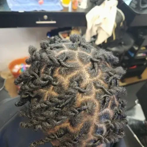 The back of a person 's head with dreadlocks.