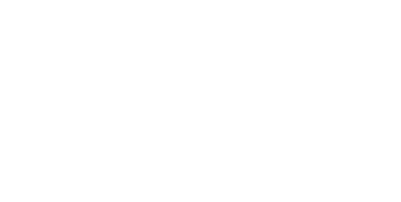 Blank white image with no visible content.