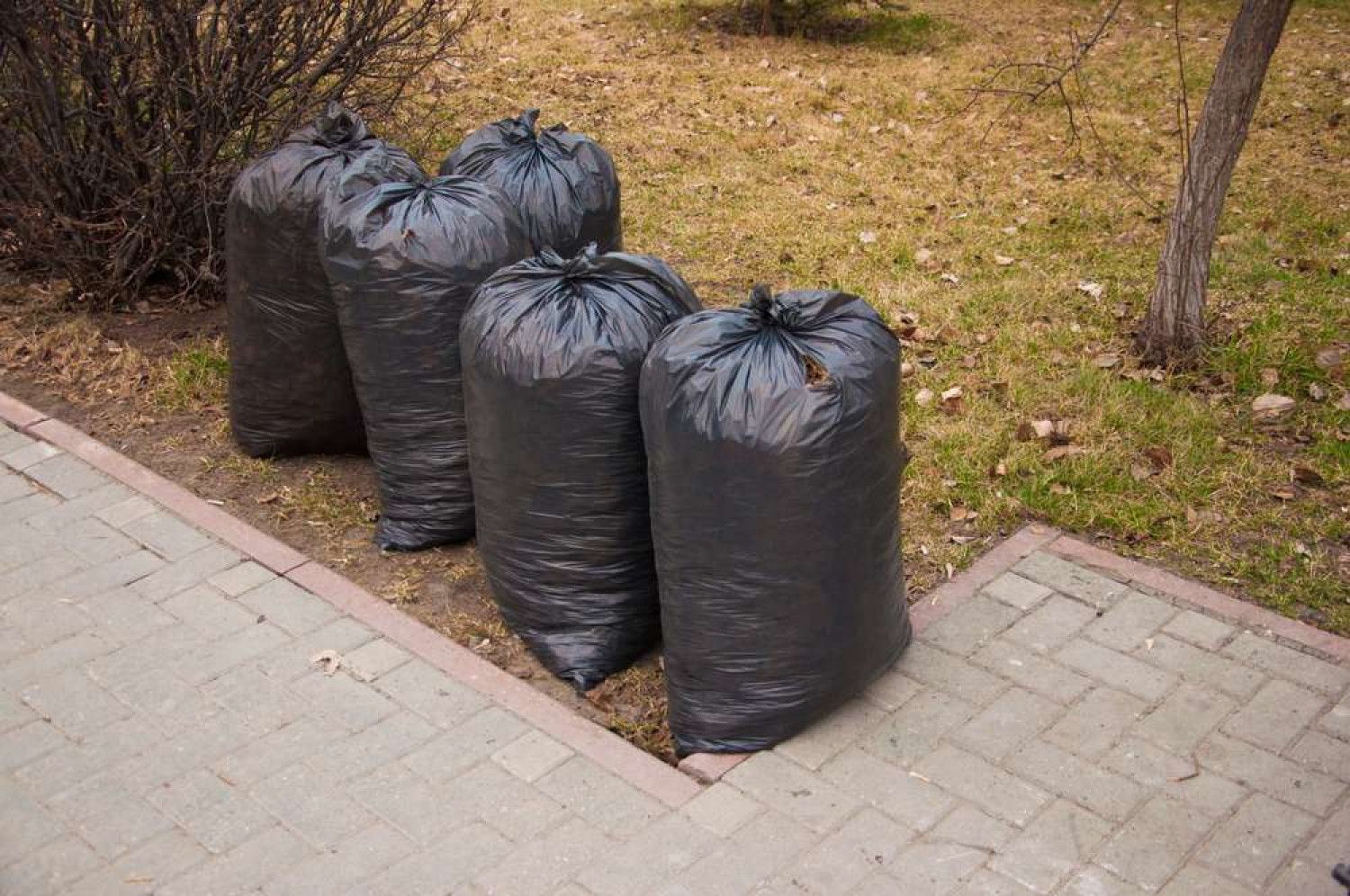 yard+cleanup+removal+bullhead+city+az